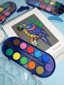 تصویر آبرنگ ۱۲رنگه پارسیکار 