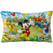 تصویر روبالشی زیبا-ضخیم- نرم ( کودک و نوجوان) 