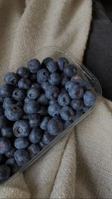تصویر بلوبری بسته۱۳۰ گرمی 
