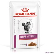 تصویر پوچ گربه رنال رویال کنین باطعم گوشت گاو 85 گرم Royal Canin Renal Beef 85gr