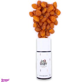 تصویر آلو بخارا بارجیل 