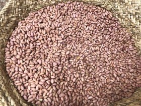 تصویر بازار گیلان 