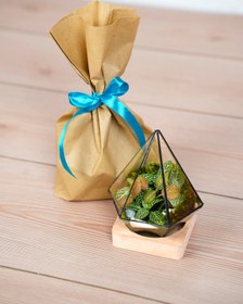 تصویر تراریوم مینی دایموند 