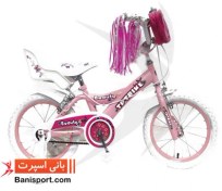 تصویر دوچرخه TPT bike 1691 