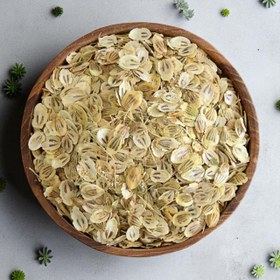 تصویر گلپر درشت 