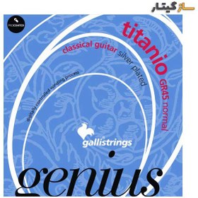 تصویر سیم گیتار گالی titanio GR45 normal 