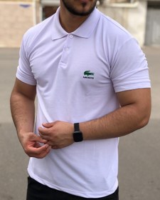 تصویر پولوشرت لاگوست طرح اورجینال-با تضمین کیفیت Lacoste Polar shirt - original design - quality assurance