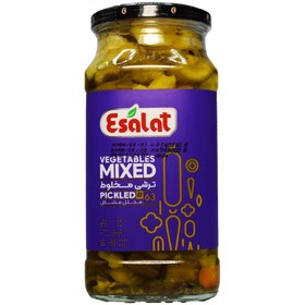 تصویر ترشی مخلوط اصالت ESALAT وزن 570 گرم 