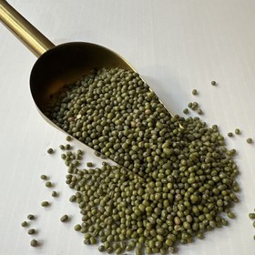 تصویر ماش - 1 کیلوگرم 