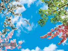 تصویر سقف کاذب مجازی طرح شکوفه های زیبا 