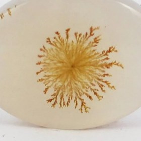 تصویر سنگ شجر کد 2391 