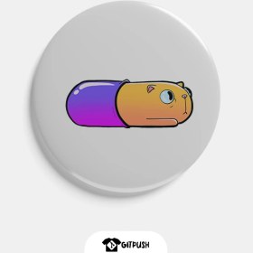 تصویر پیکسل کپسول پیشی 