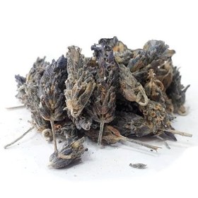 تصویر گیاه اسطوخودوس درجه یک 