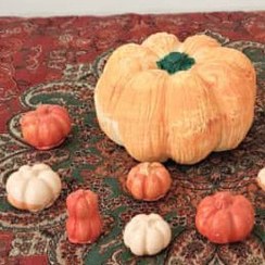 تصویر کدو حلوایی تپل سنگی 