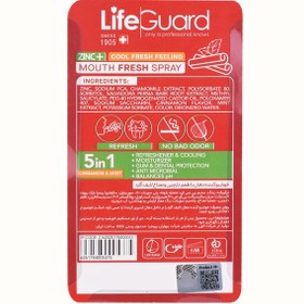 تصویر خوشبو کننده دهان لایف گارد طعم دارچین و نعناع ۷۵ گرم 