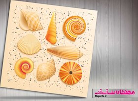 تصویر وکتور صدف های دریایی 01 