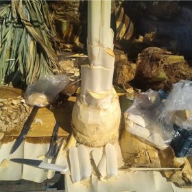 تصویر پنیر نخل ۱ کیلوگرم 