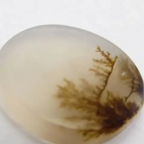 تصویر سنگ شجر کد 2314 