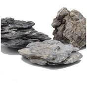 تصویر سنگ آکواریوم رایو 