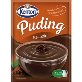 تصویر پودینگ وانیلی شکلاتیkenton 