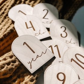 تصویر دیسک ماهگرد 12 عددی 