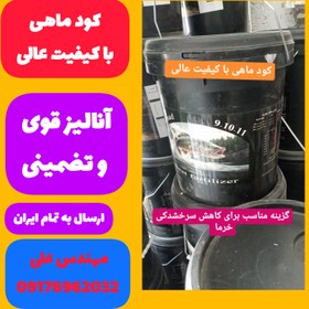 تصویر کود مایع ماهی ورساد 