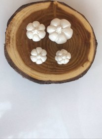 تصویر قالب کدو مینیاطوری 