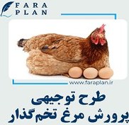 تصویر طرح توجیهی پرورش مرغ تخم گذار 