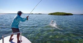 تصویر گلوک ذرت نیک بیت 