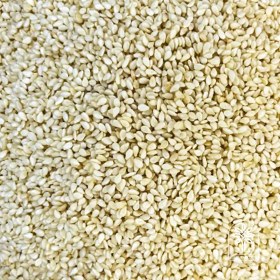 تصویر کنجد سفید 