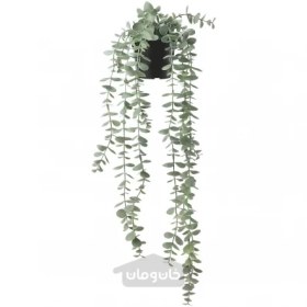 تصویر بوته آویز اکالیپتوس ایکیا 9 سانتیمتر مدل FEJKA IKEA ا FEJKA Artificial potted plant in/outdoor hanging/eucalyptus 9 cm FEJKA Artificial potted plant in/outdoor hanging/eucalyptus 9 cm