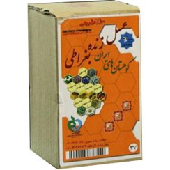 تصویر عسل زنده بغراطی ۳ ستاره ۱ کیلوگرم 