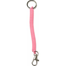 تصویر جاکلیدی و آویز فنری 