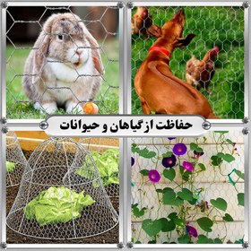 تصویر توری مرغی کد 120 طول 2 متر 