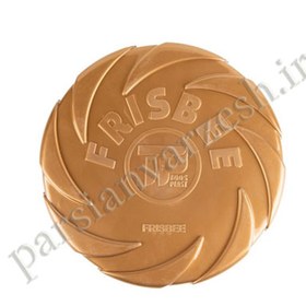 تصویر فریزبی حرفه ای 