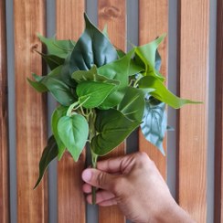 تصویر بوته گل مصنوعی پتوس فانتزی ابلق 