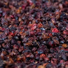 تصویر زرشک کوهی 