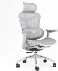 تصویر صندلی ارگونومیک SIHOO مدل Doro C300L 