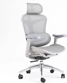 تصویر صندلی ارگونومیک SIHOO مدل Doro C300L 