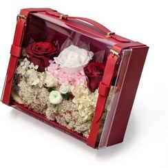 تصویر باغ گل رز جاودان مدل آدلیا قرمز 