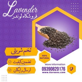 تصویر تخم شربتی دانه درشت (100 گرمی ) فروشگاه لوندر 