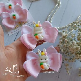 تصویر گلسر خرگوش و هویج 