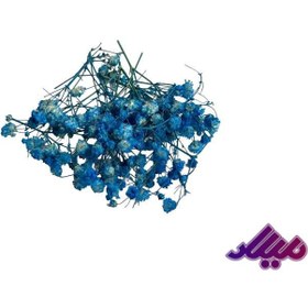 تصویر گل خشک ژیپسو آبی G49 