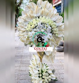 تصویر جام گل سالویا 