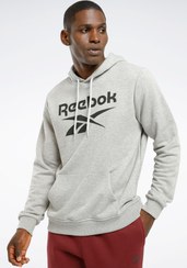 تصویر سویشرت مردانه ریبوک Reebok اورجینال RI FT Big Logo OTH 