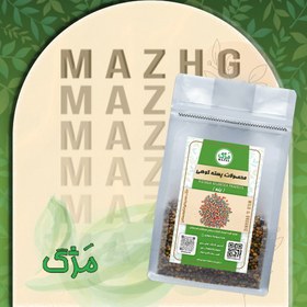 تصویر مغز بنه ماشی خام(سلفونی) 