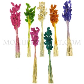 تصویر گل خشک مدل توت فرنگی 