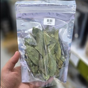 تصویر برگ بو 