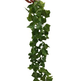 تصویر ریسه برگ 2.5 متری 