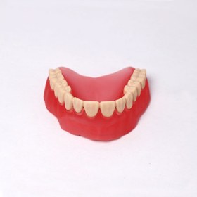 تصویر رزین آیفون مدل iF3166 Denture UV برند ifUN 